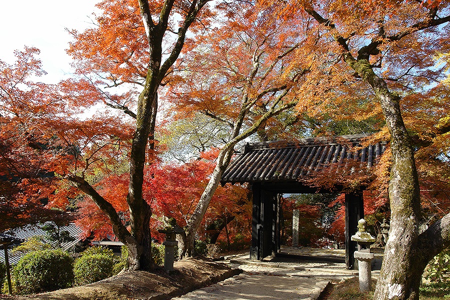 秋月城下町の写真