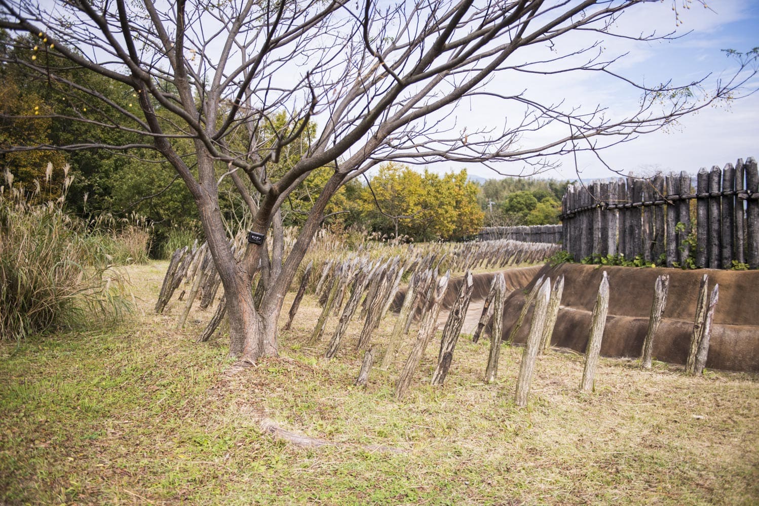 吉野ヶ里遺跡の写真