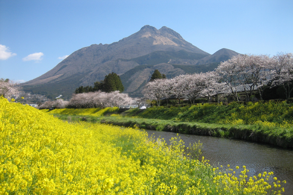 由布岳の写真