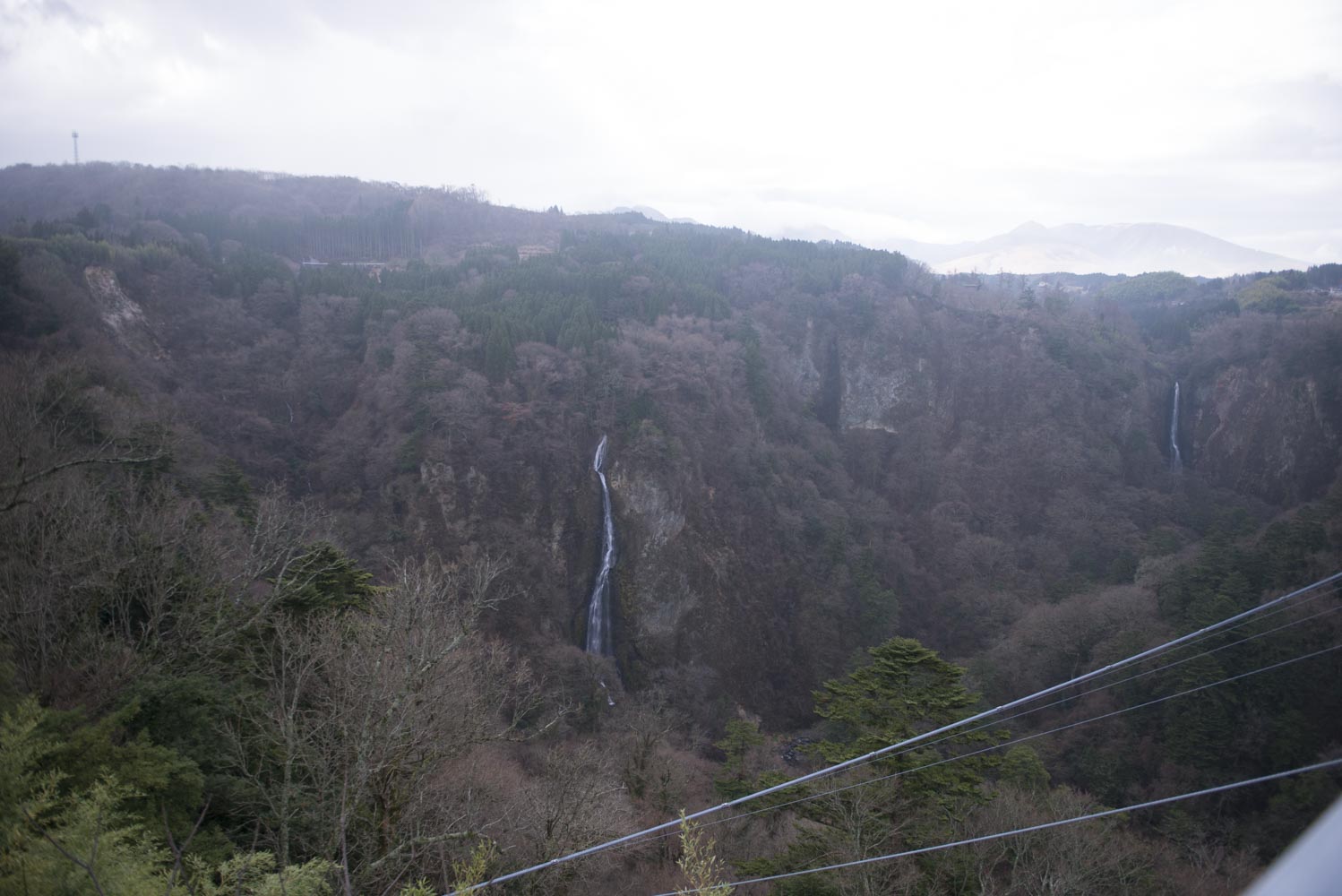 九重“夢”大吊橋の写真