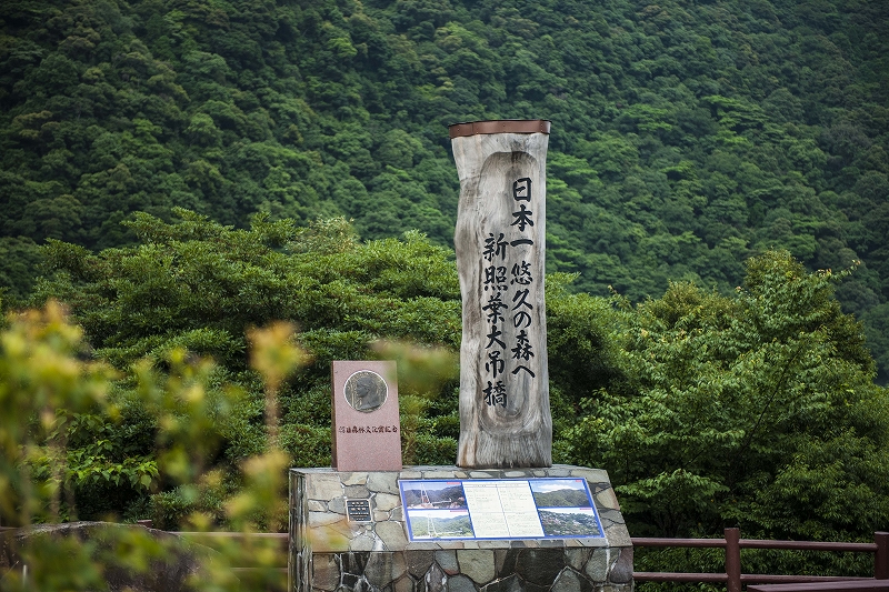 綾の照葉樹林の写真