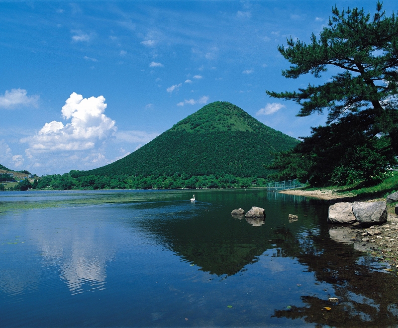 藺牟田池の写真