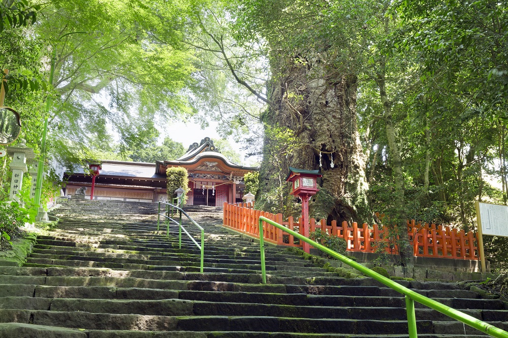 新田神社の写真