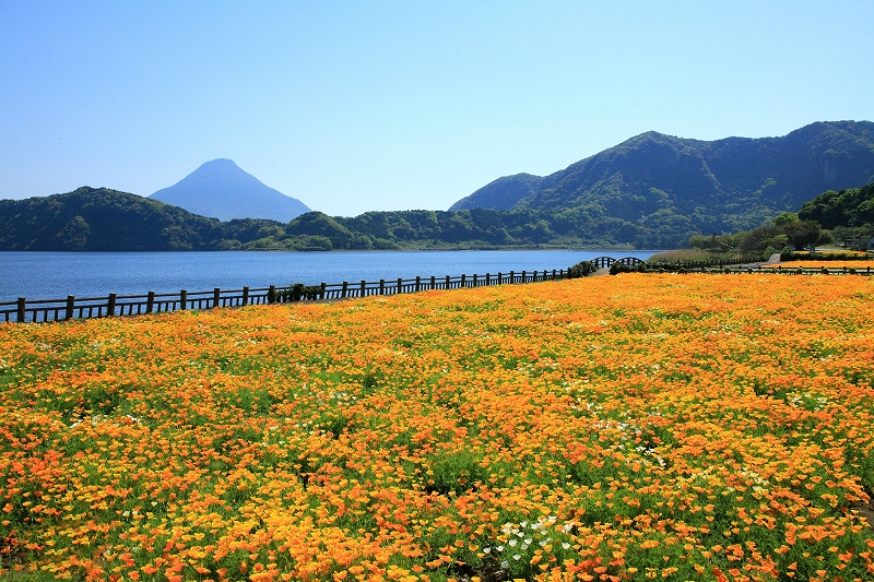 池田湖の写真