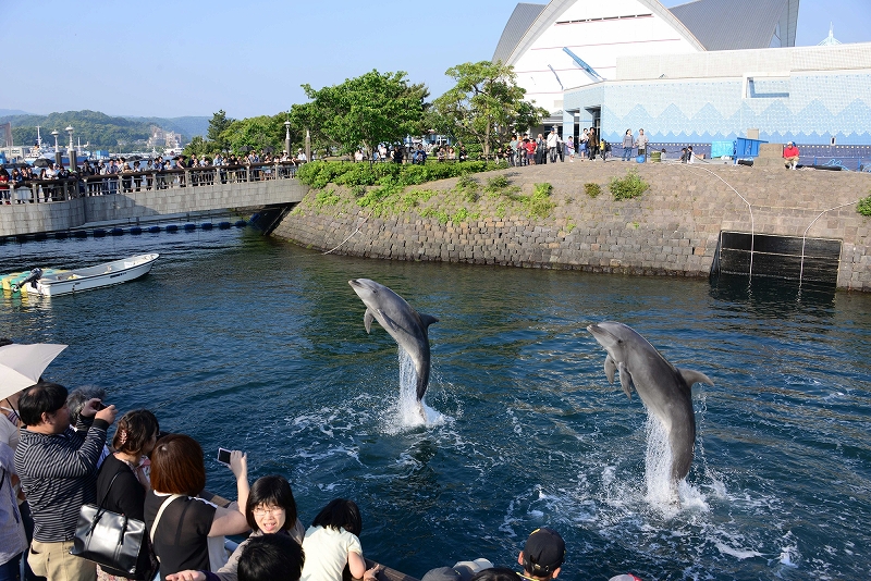 いおワールドかごしま水族館の写真