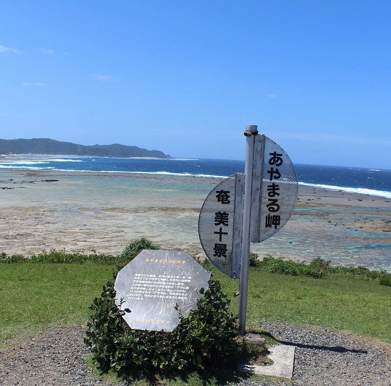 あやまる岬の写真