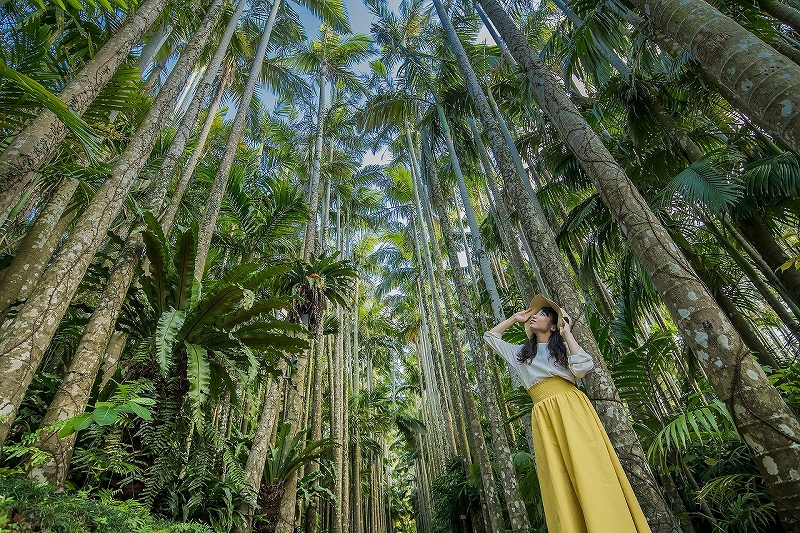 東南植物楽園の写真